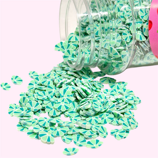 Seashells 2oz shakers